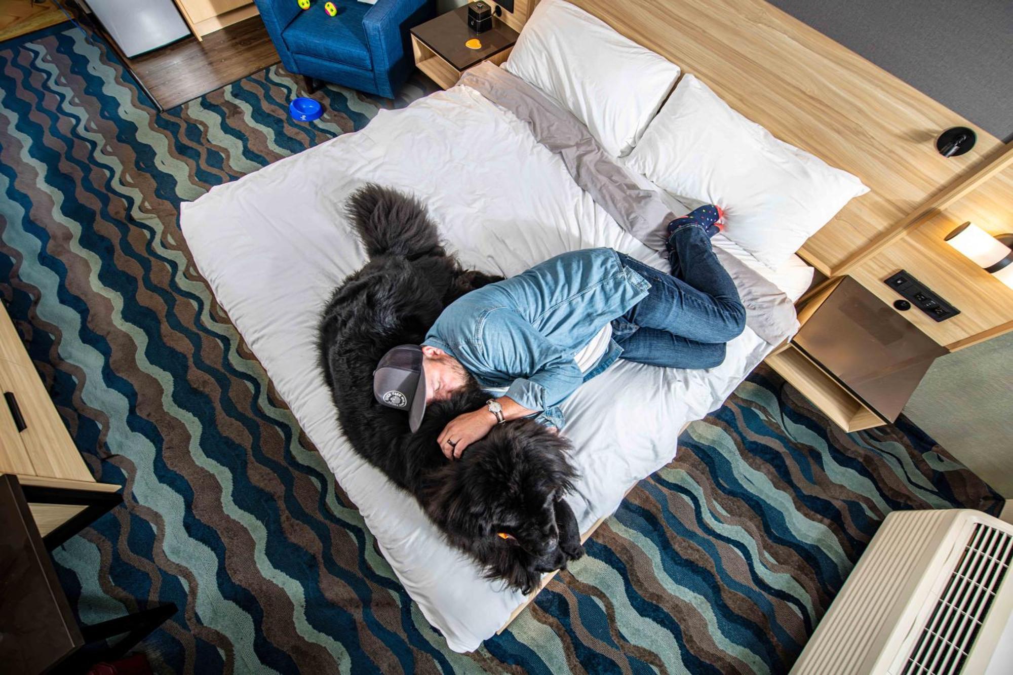 Accent Inns Vancouver Airport Ричмонд Экстерьер фото